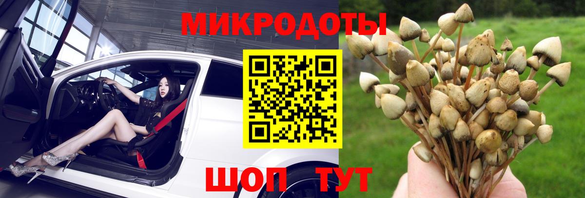 купить  сайты  Псилоцибиновые грибы Psilocybe  Кушва  Вход с VPN  Галлюциногенные грибы прущие грибы 