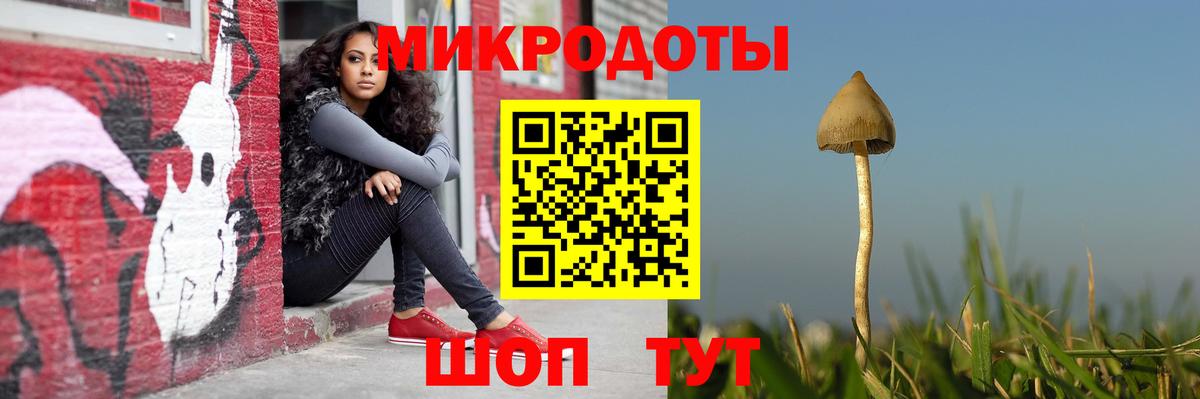 Галлюциногенные грибы MAGIC MUSHROOMS Кушва